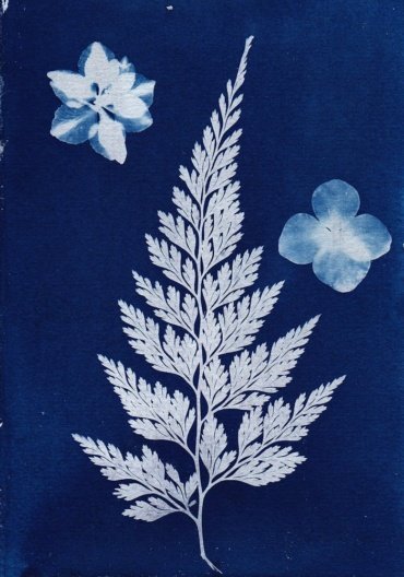 Prints, Lisa Fotios